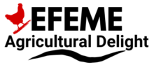 Efeme Agricultural Delights (EAD)
